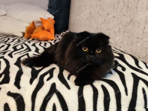 1-komnatnaya-ul-monchegorskaya-d-7a фото