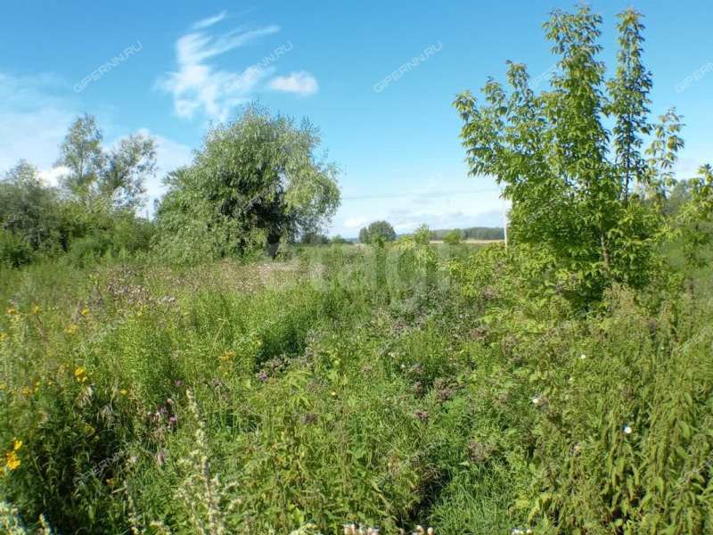 земельный участок 13,1 сотки улица Черкасский Порядок село Афанасьево