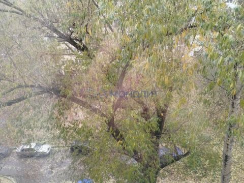 1-komnatnaya-ul-avangardnaya-d-14 фото