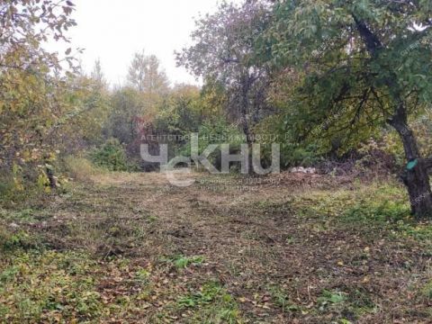 selo-kadnicy-kstovskiy-rayon фото