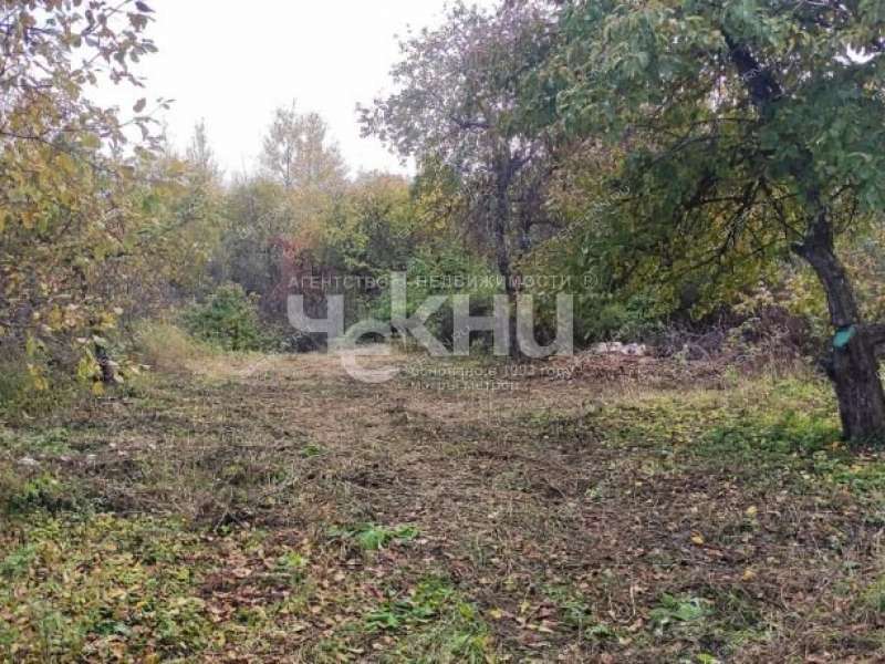 земельный участок 10 соток Центральная улица село Кадницы