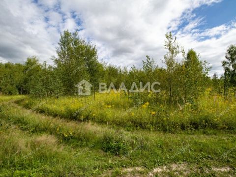 selo-spirino-bogorodskiy-municipalnyy-okrug фото