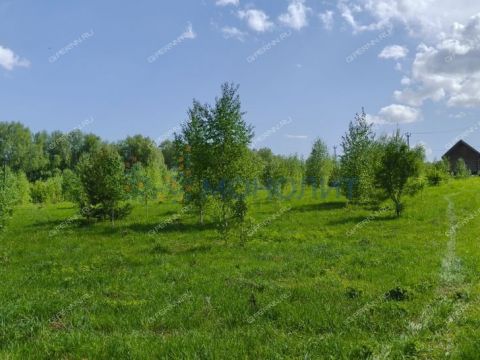 derevnya-shvariha-bogorodskiy-municipalnyy-okrug фото
