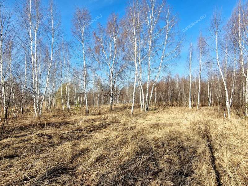 земельный участок 15,3 сотки деревня Новоликеево