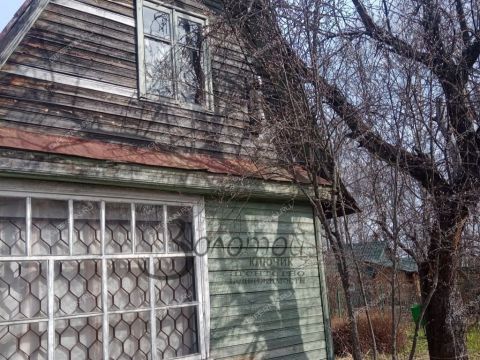 derevnya-syrohvatovo-gorodskoy-okrug-bor фото