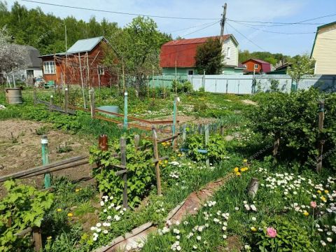 dacha-massiv-4-leninec-selo-bolshaya-elnya-ter-snt-kstovskiy-rayon фото