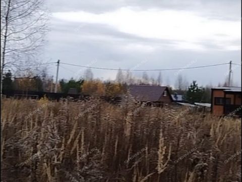 derevnya-krivaya-sheloksha-kstovskiy-rayon фото