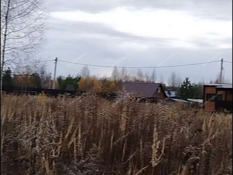 земельный участок 7 соток деревня Кривая Шелокша