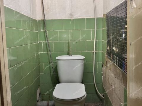 ul-yuliusa-fuchika-d-12 фото