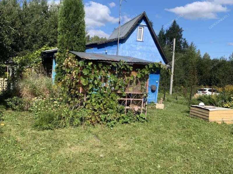 дача на СНТ Кристалл рабочий посёлок Дальнее Константиново