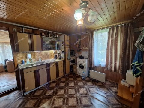 dom-derevnya-trestyany-bogorodskiy-municipalnyy-okrug фото