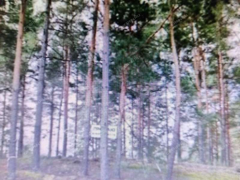 земельный участок 15 соток посёлок Память Парижской Коммуны