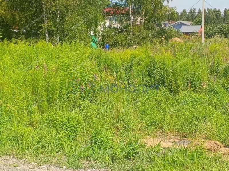 земельный участок 10 соток ДНП Возрождение деревня Золотово (Ситниковский сельсовет