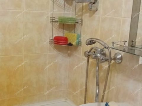 2-komnatnaya-gorod-vyksa-gorodskoy-okrug-vyksa фото