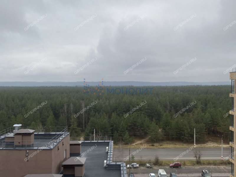 трёхкомнатная квартира на проспекте Циолковского дом 102А город Дзержинск