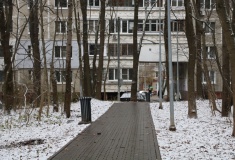 «Покушаются на деревья». Зеленую зону в Щербинках просят защитить от застройки