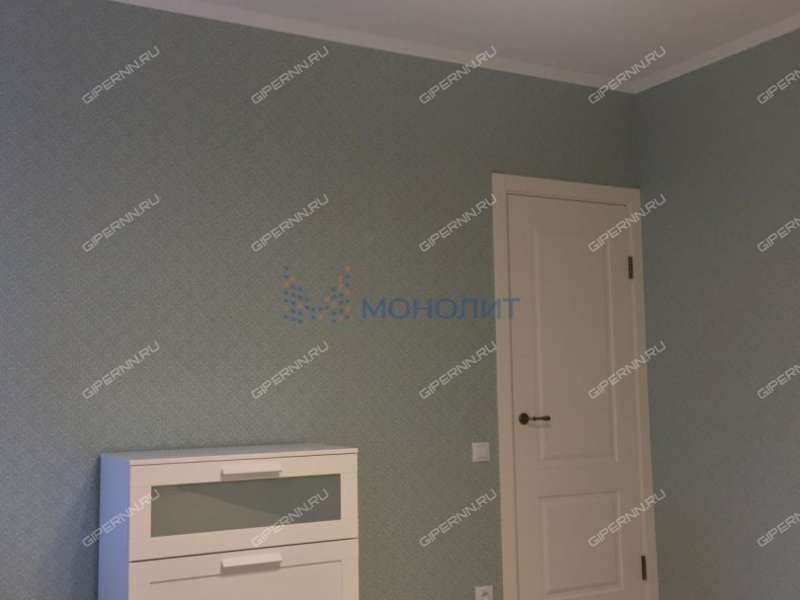 трёхкомнатная квартира на Арзамасской улице дом 1