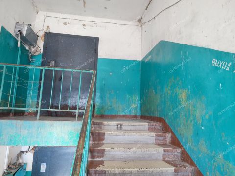 selo-sheloksha-kstovskiy-rayon фото