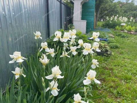 sovetskiy-rayon фото