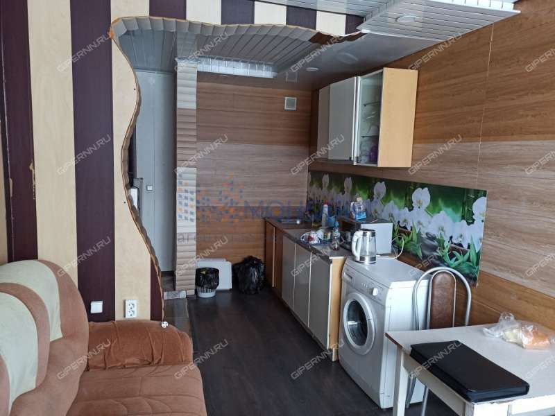 однокомнатная квартира на улице Терёхина дом 28 село Гагино