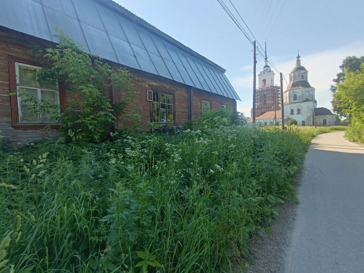 Остатки барской усадьбы. Фото: Валерия Ложкина / gipernn.ru