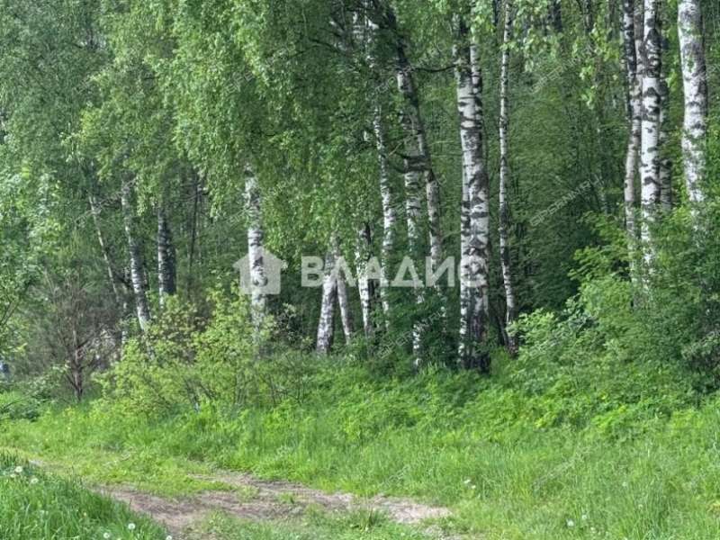 земельный участок 9,45 сотки 231 деревня Кременки