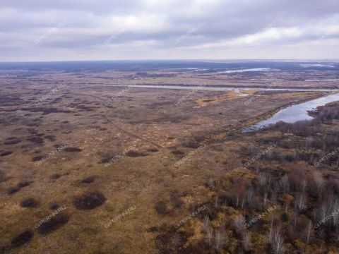 gorod-bor-gorodskoy-okrug-bor фото