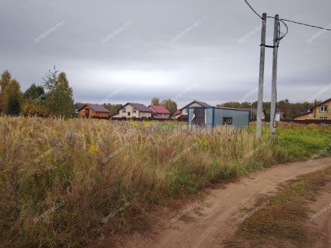 derevnya-bushnevo-gorodeckiy-rayon фото