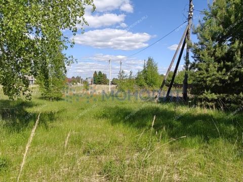 gorod-bor-gorodskoy-okrug-bor фото