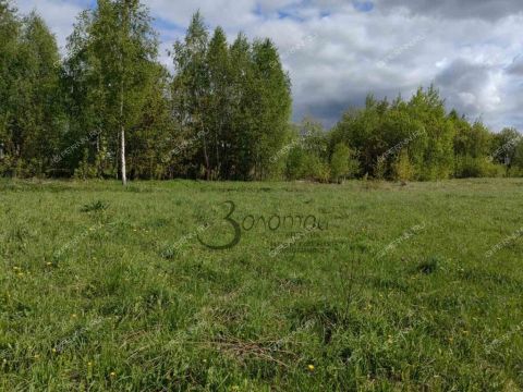 derevnya-demidovo-bogorodskiy-municipalnyy-okrug фото