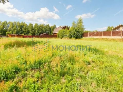 derevnya-orinkino-bogorodskiy-municipalnyy-okrug фото