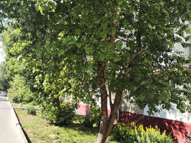 однокомнатная квартира на Автомеханической улице дом 4