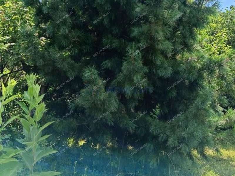 дача на Зелёной улице село Маргуша
