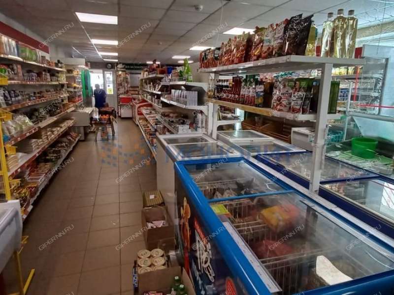 помещение под торговую площадь, недвижимость под общепит на улице Аллея Ильича город Павлово