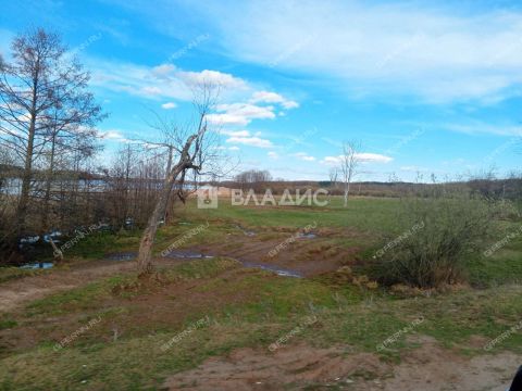derevnya-inyutino-bogorodskiy-municipalnyy-okrug фото