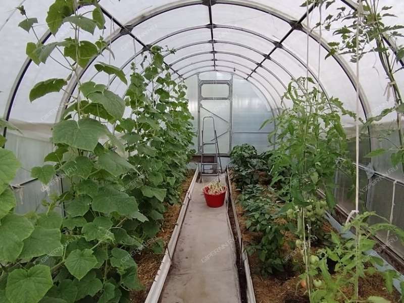 дача на СНТ Надежда