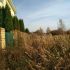 земельный участок 12,5 сотки Центральная улица село Кадницы