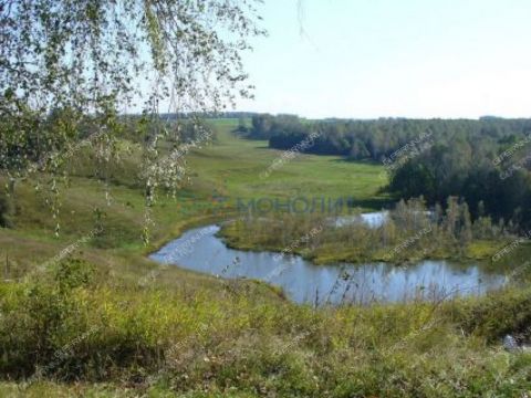 derevnya-timonino-bogorodskiy-municipalnyy-okrug фото