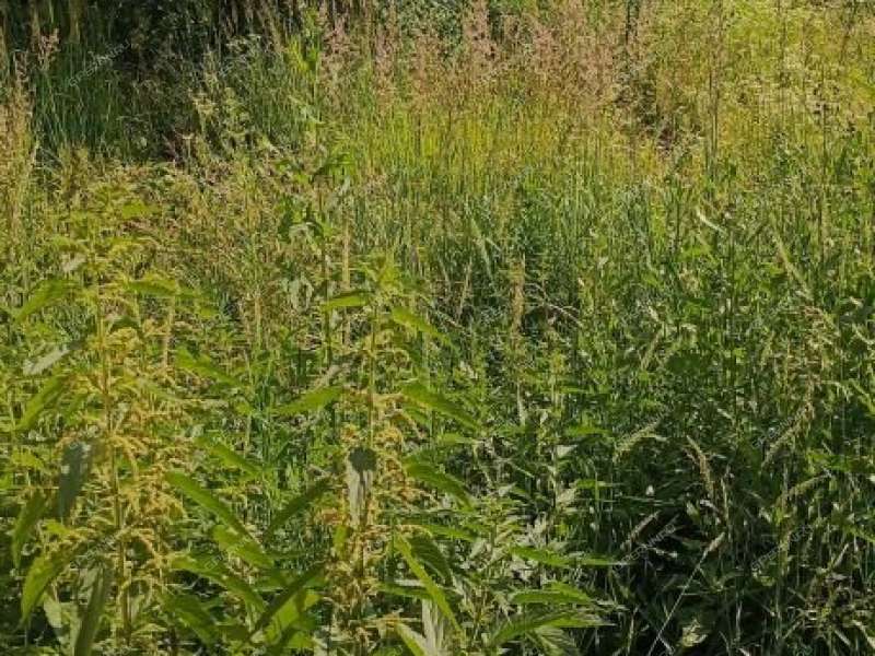 1/2 дома на улице Академика Вавилова