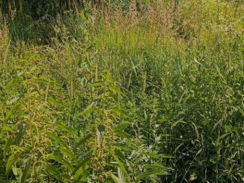 1-2-doma-derevnya-koposovo-ul-akademika-vavilova-d-10 фото