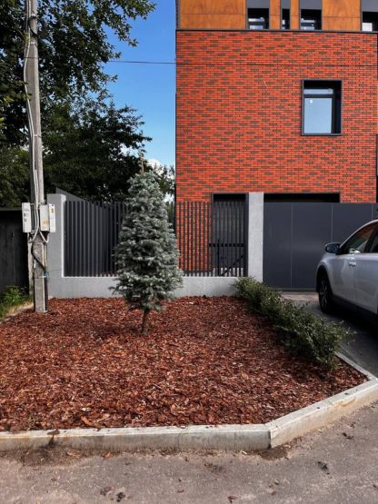 Фото: Анастасия Елина / gipernn.ru