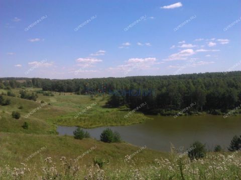 dom-derevnya-krutec-aleshkovskiy-selsovet-bogorodskiy-municipalnyy-okrug фото
