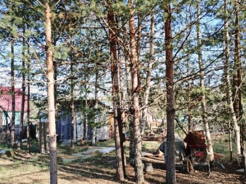 dacha-snt-polyanka-dalnekonstantinovskiy-rayon фото
