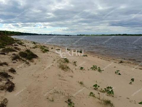 rabochiy-poselok-maloe-kozino-balahninskiy-municipalnyy-okrug фото