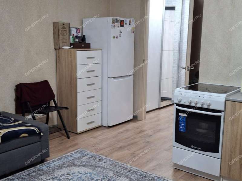 однокомнатная квартира на улице Романтиков дом 6