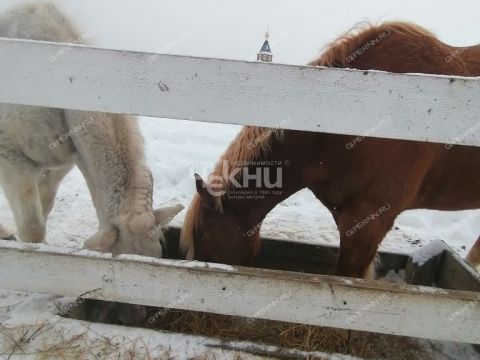 dom-kp-novaya-derevnya-vladykino-bogorodskiy-municipalnyy-okrug фото