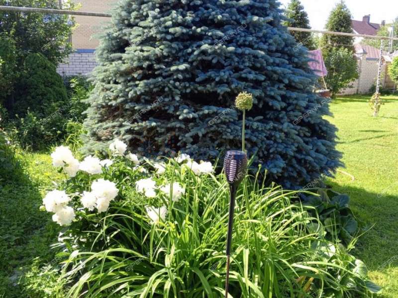 коттедж на Шушенской улице