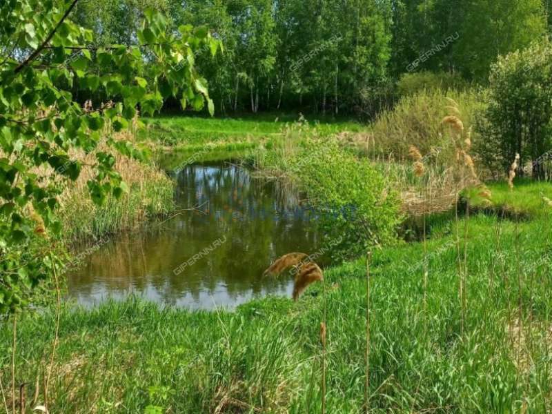 земельный участок 114 соток Лесная улица деревня Александровка