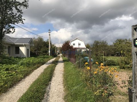 derevnya-ogolihino-gorodskoy-okrug-bor фото