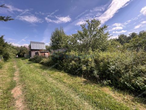 sad-berezhok-derevnya-shoniha-ter-snt-bogorodskiy-municipalnyy-okrug фото